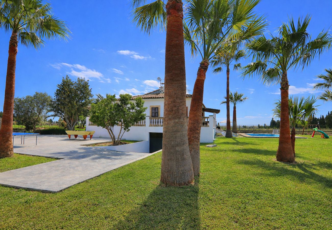 Finca en Sa Pobla - 040 Villa Can Mussol ETV/1463 by Mallorca Charme
