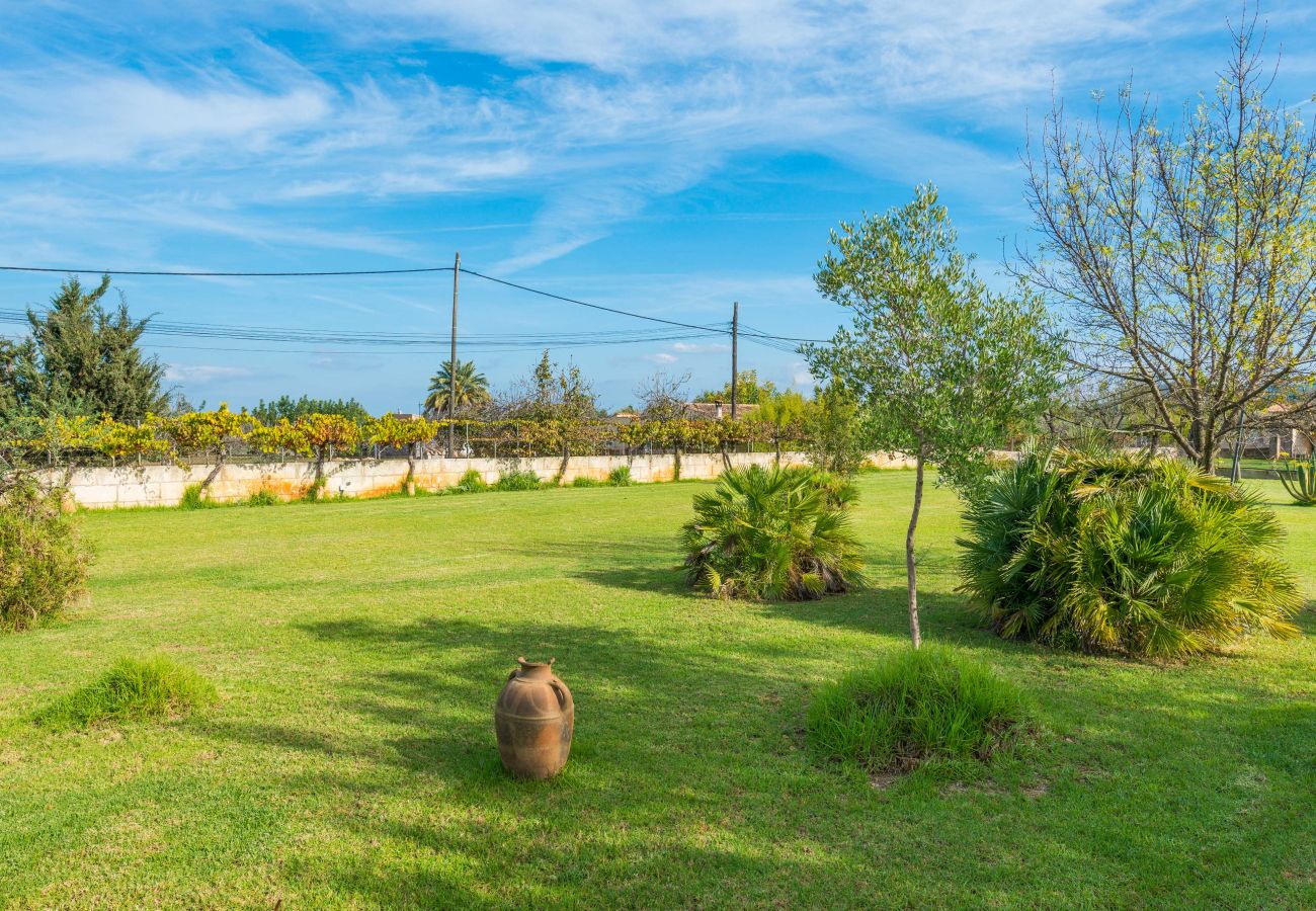 Finca en Selva - SA VINYETA Finca para 6 con Piscina, Jacuzzi y Jardin