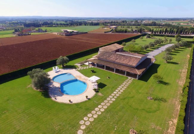 Finca en Sa Pobla - Villa SANT VICENS para 8 con piscina rodeada de naturaleza