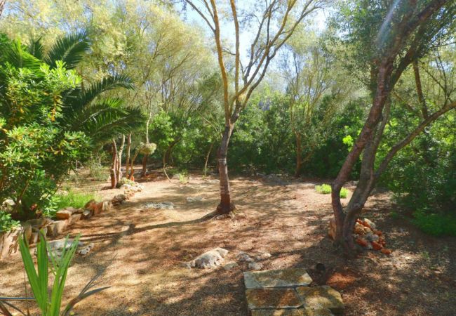 Finca en Campos - 411 Finca Sa Costa ETV1976 by Mallorca Charme Finca en Campos - 411 Finca Sa Costa ETV1976 by Mallorca Charme