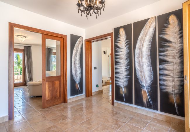 Villa en Alcúdia - C313 Can Oliva by Mallorca Villa Selection Villa en Alcúdia - C313 Can Oliva by Mallorca Villa Selection