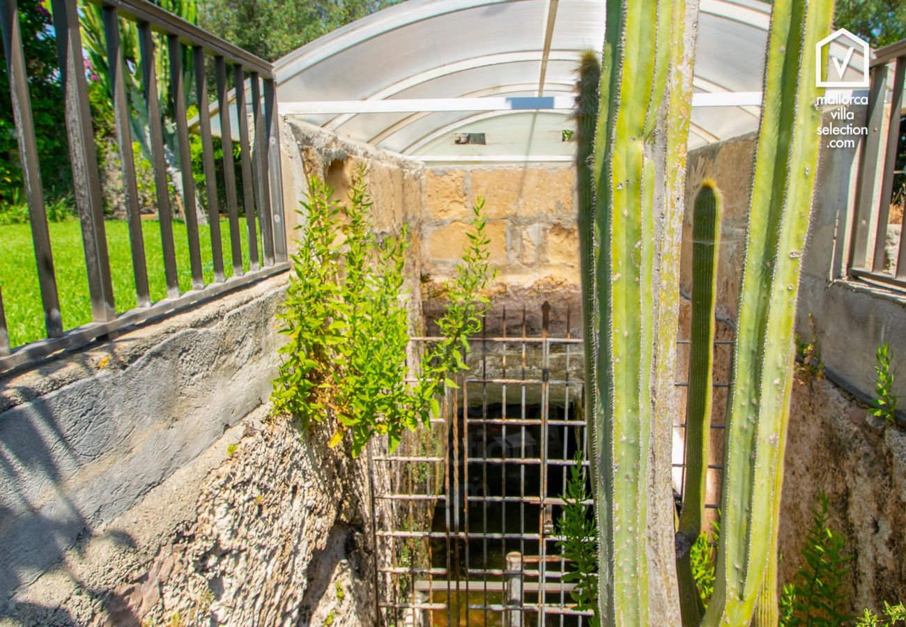 Finca en Alcúdia - Villa MOLI DEN FANALS para 6 con piscina en Alcudia