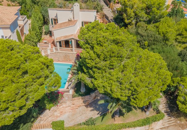 Casa en Alcúdia - Tres Pinos para 6 con piscina en Alcanada / Alcudia