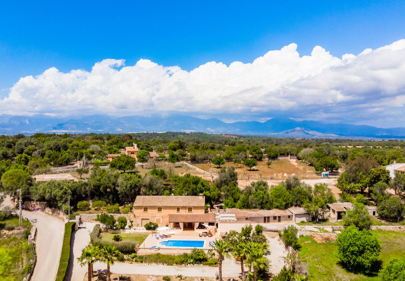 Finca en Lloret de Vistalegre - Finca Bielo para 8 personas con piscina en Lloret