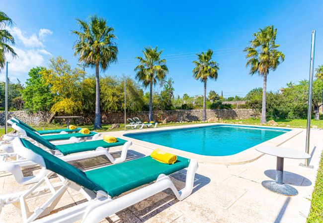 Villa en Alcúdia - GALLINA finca con piscina para 8 personas en Alcudia