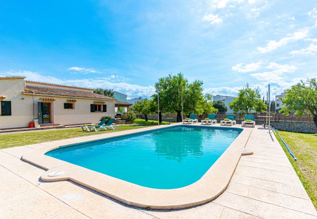 Villa en Alcúdia - GALLINA finca con piscina para 8 personas en Alcudia