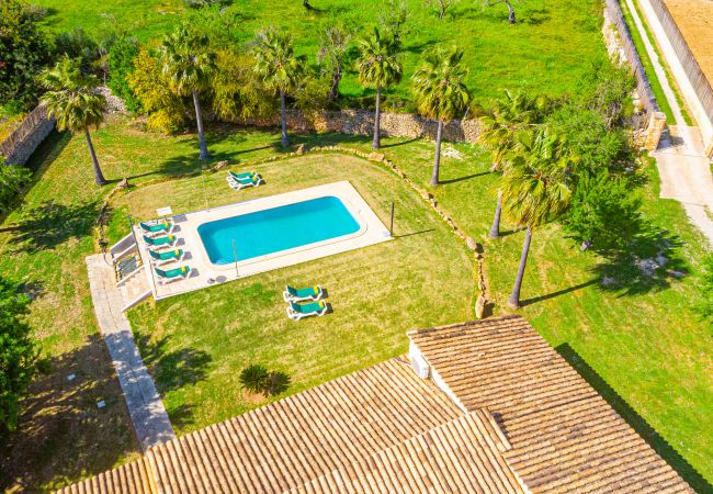 Villa en Alcúdia - GALLINA finca con piscina para 8 personas en Alcudia
