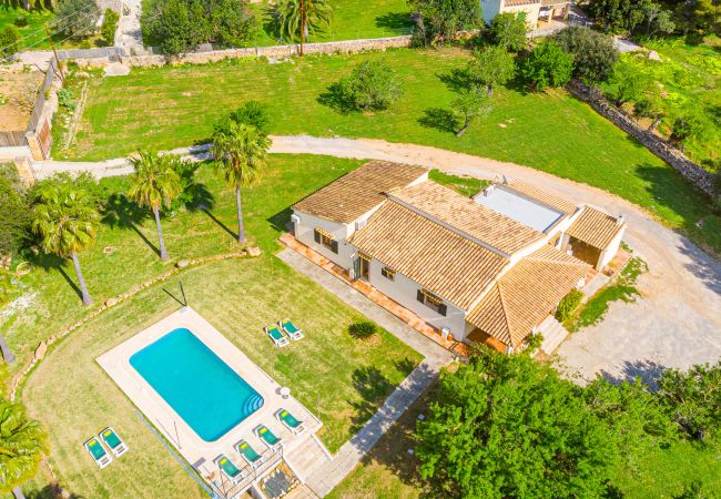 Villa en Alcúdia - GALLINA finca con piscina para 8 personas en Alcudia