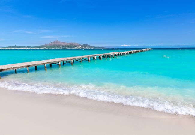 Playa de Alcudia Mallorca fotos