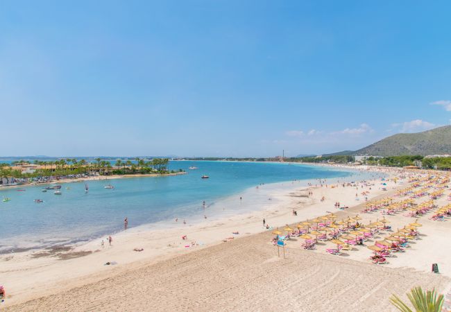 Playa de Alcudia Mallorca fotos