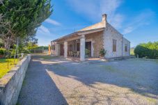 Villa in Santa Margalida - villa cova d`or