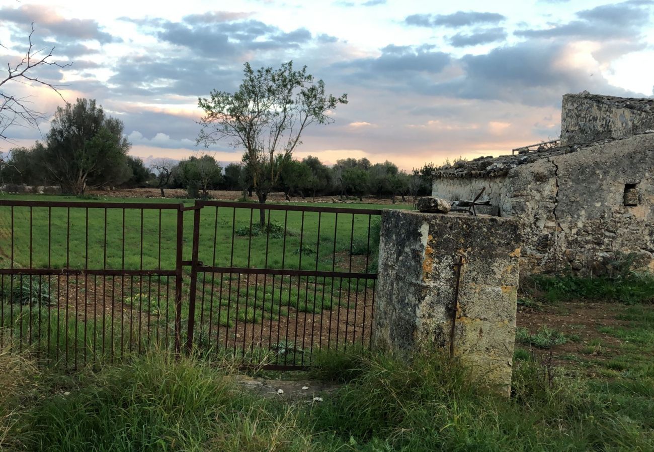 Landhaus in Campanet - finca rústica campanet Landhaus in Campanet - finca rústica campanet