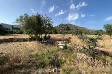 Finca in Pollensa /  Pollença - finca rústica cala san vicenç