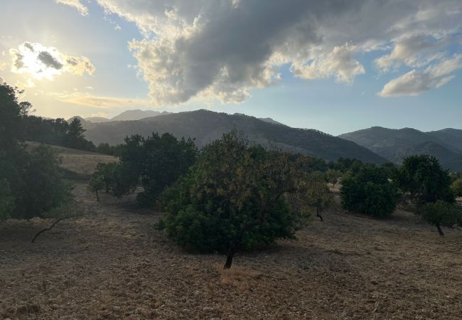 Finca in Moscari - Finca en Moscari Finca in Moscari - Finca en Moscari