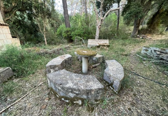 Finca in Moscari - Finca en Moscari Finca in Moscari - Finca en Moscari