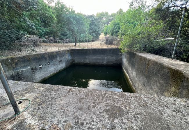 Finca in Moscari - Finca en Moscari Finca in Moscari - Finca en Moscari