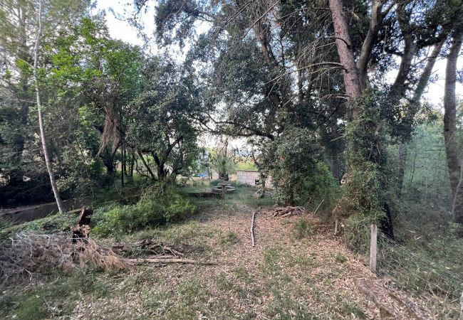 Finca in Moscari - Finca en Moscari Finca in Moscari - Finca en Moscari