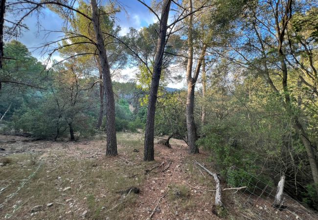 Finca in Moscari - Finca en Moscari Finca in Moscari - Finca en Moscari