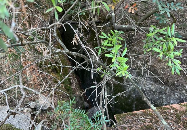 Finca in Moscari - Finca en Moscari Finca in Moscari - Finca en Moscari