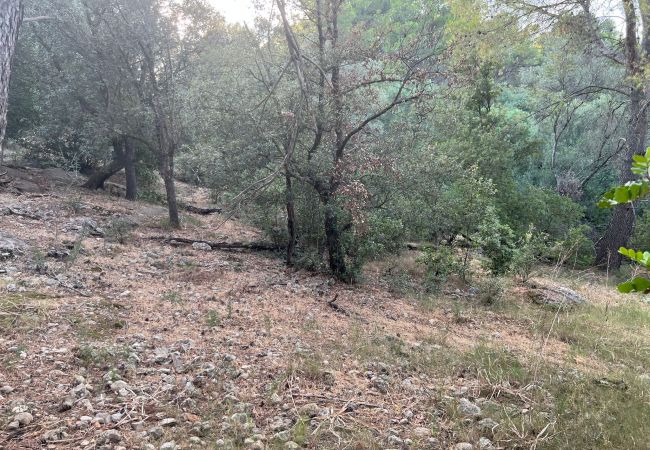 Finca in Moscari - Finca en Moscari Finca in Moscari - Finca en Moscari