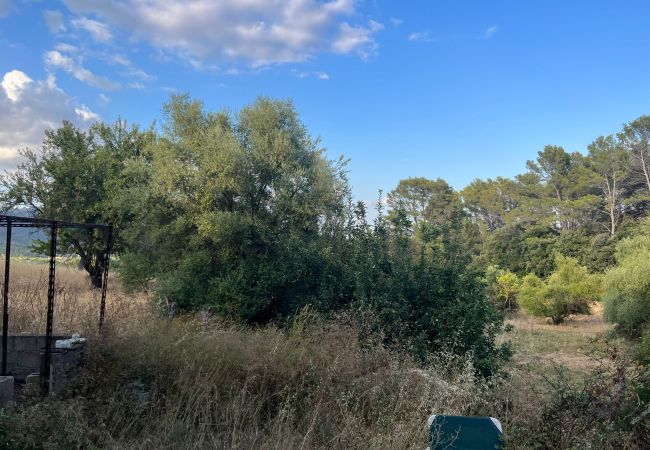 Finca in Moscari - Finca en Moscari Finca in Moscari - Finca en Moscari