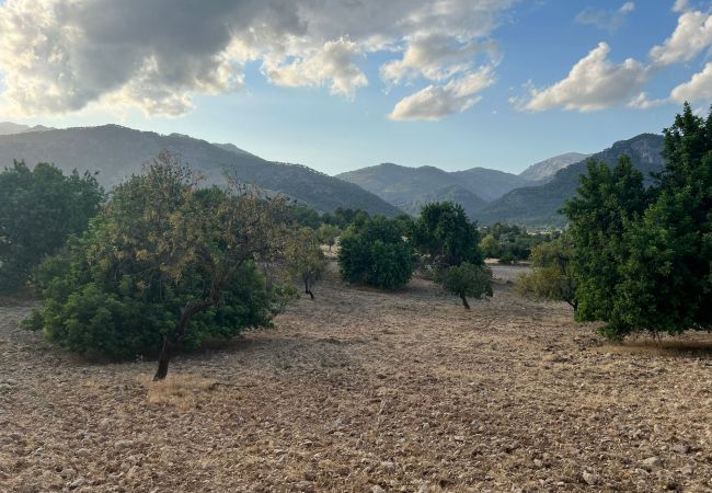 Finca in Moscari - Finca en Moscari Finca in Moscari - Finca en Moscari