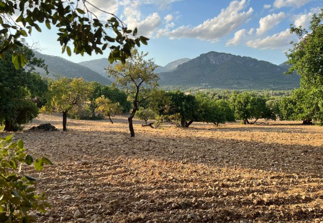 Finca in Moscari - Finca en Moscari Finca in Moscari - Finca en Moscari