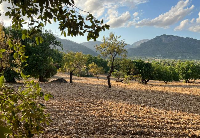 Finca in Moscari - Finca en Moscari Finca in Moscari - Finca en Moscari