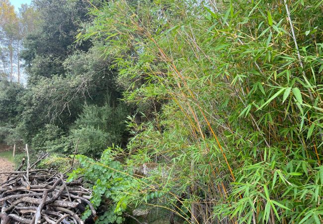 Finca in Moscari - Finca en Moscari Finca in Moscari - Finca en Moscari