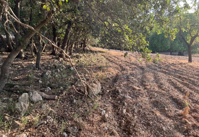 Finca in Moscari - Finca en Moscari Finca in Moscari - Finca en Moscari