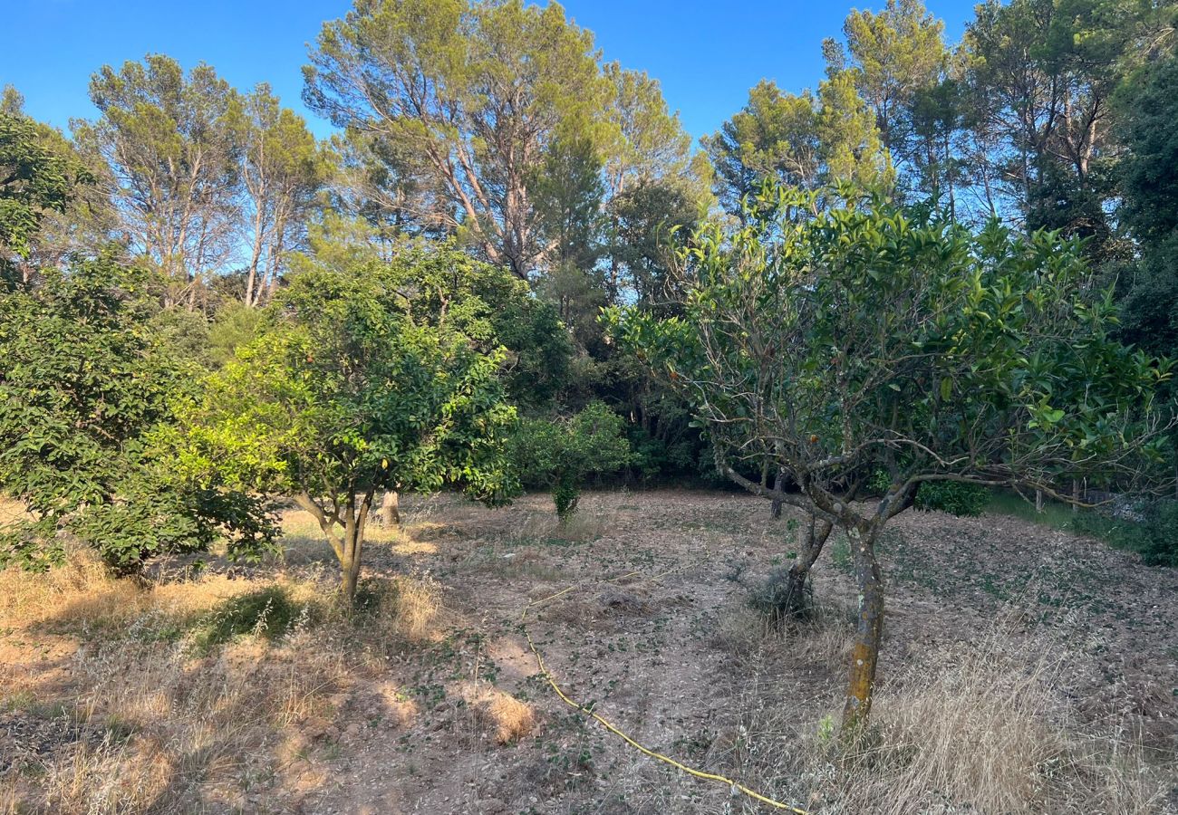 Finca in Moscari - Finca en Moscari Finca in Moscari - Finca en Moscari