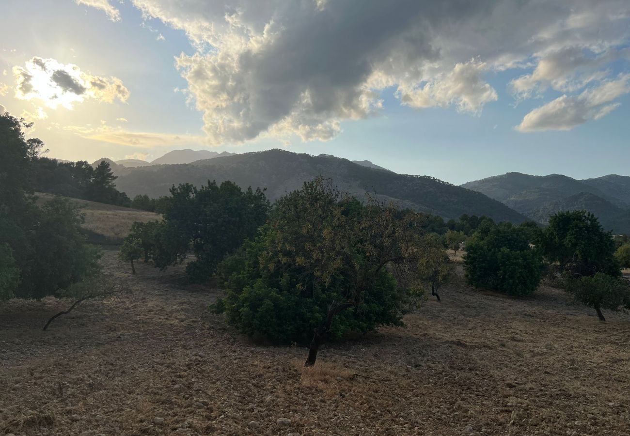 Finca in Moscari - Finca en Moscari Finca in Moscari - Finca en Moscari