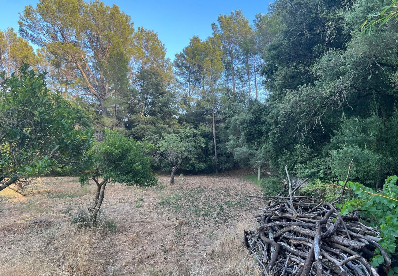 Finca in Moscari - Finca en Moscari Finca in Moscari - Finca en Moscari