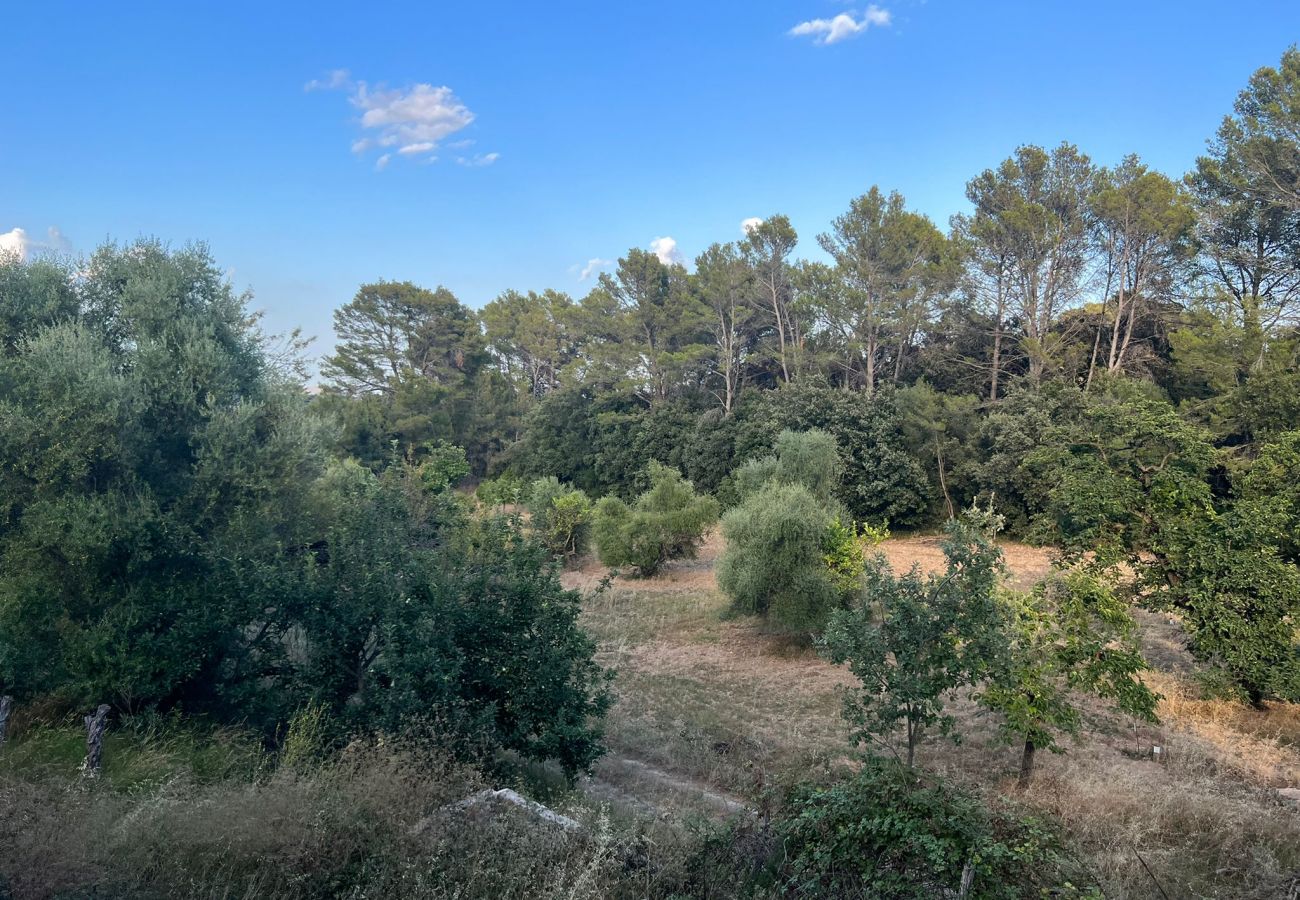 Finca in Moscari - Finca en Moscari Finca in Moscari - Finca en Moscari