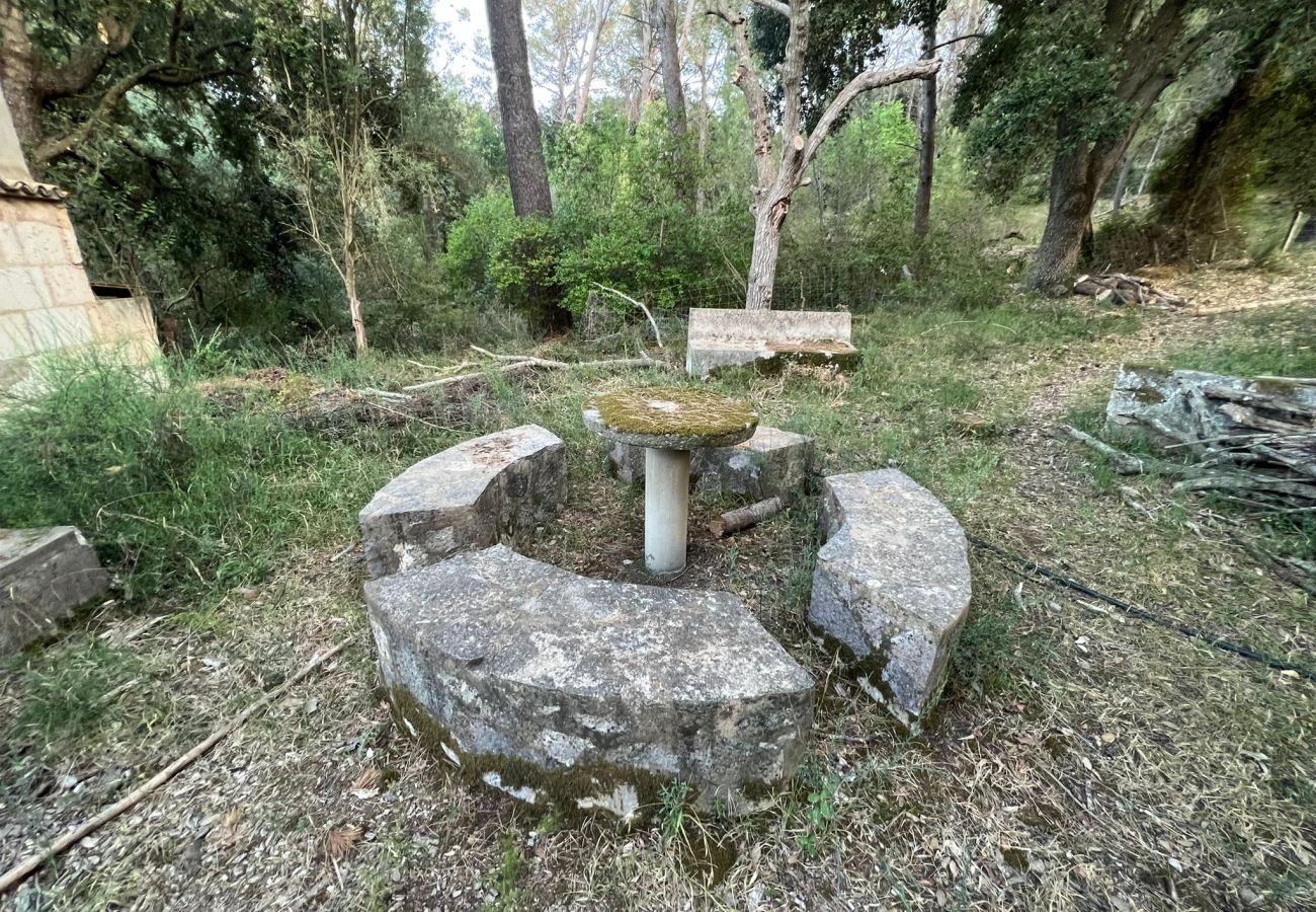 Finca in Moscari - Finca en Moscari Finca in Moscari - Finca en Moscari