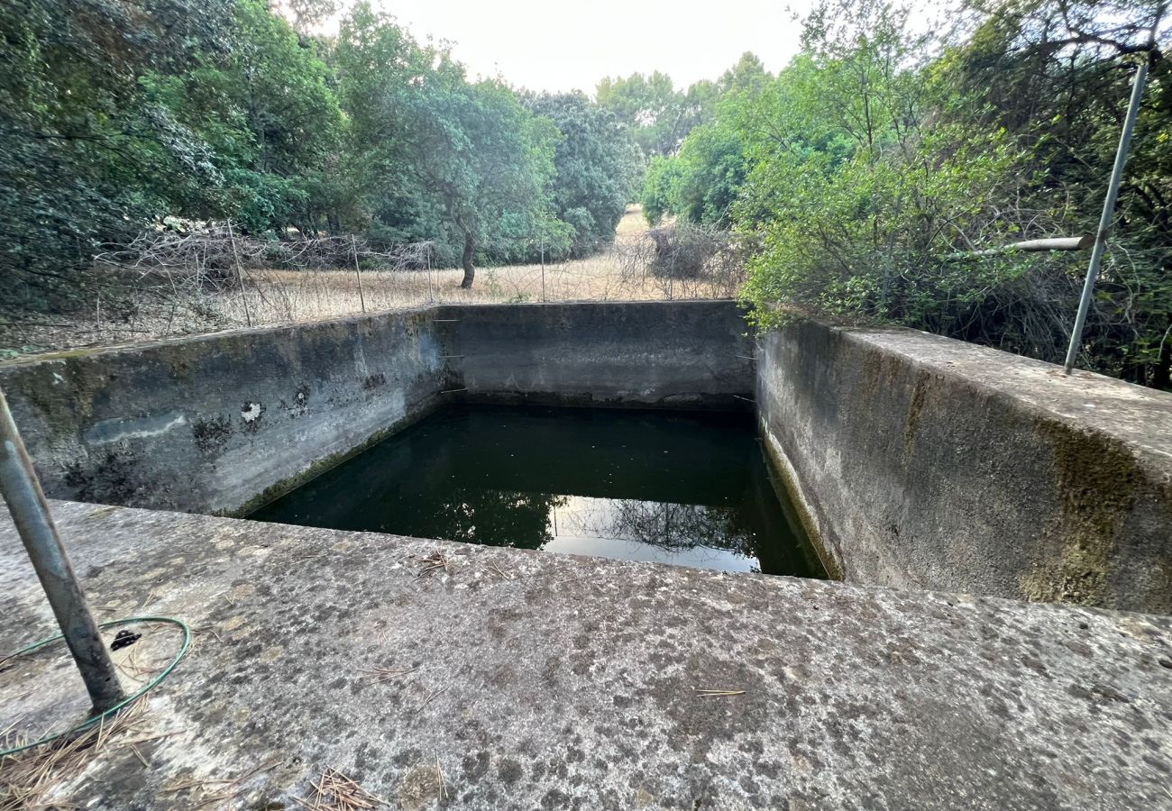 Finca in Moscari - Finca en Moscari Finca in Moscari - Finca en Moscari