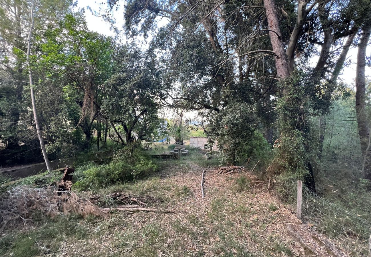 Finca in Moscari - Finca en Moscari Finca in Moscari - Finca en Moscari