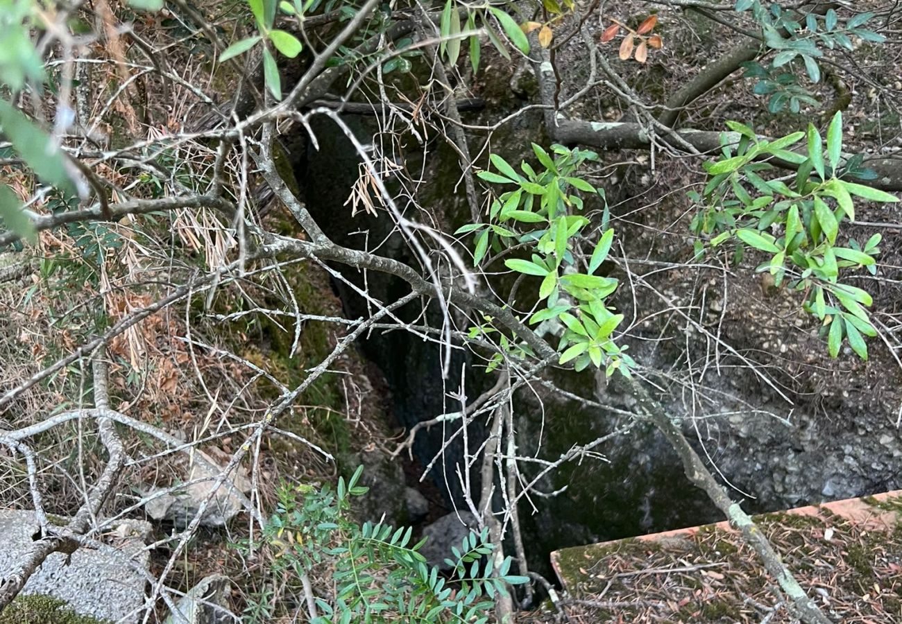 Finca in Moscari - Finca en Moscari Finca in Moscari - Finca en Moscari