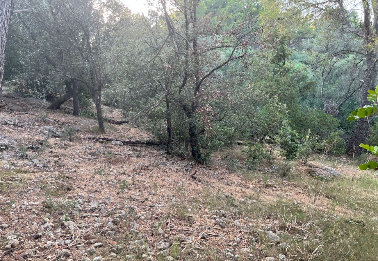 Finca in Moscari - Finca en Moscari Finca in Moscari - Finca en Moscari