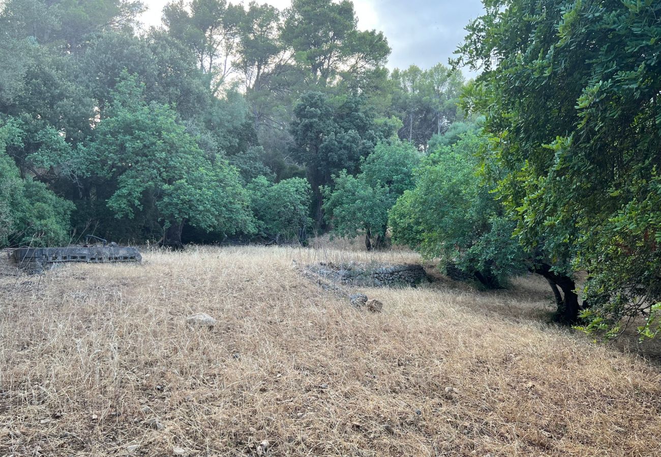 Finca in Moscari - Finca en Moscari Finca in Moscari - Finca en Moscari