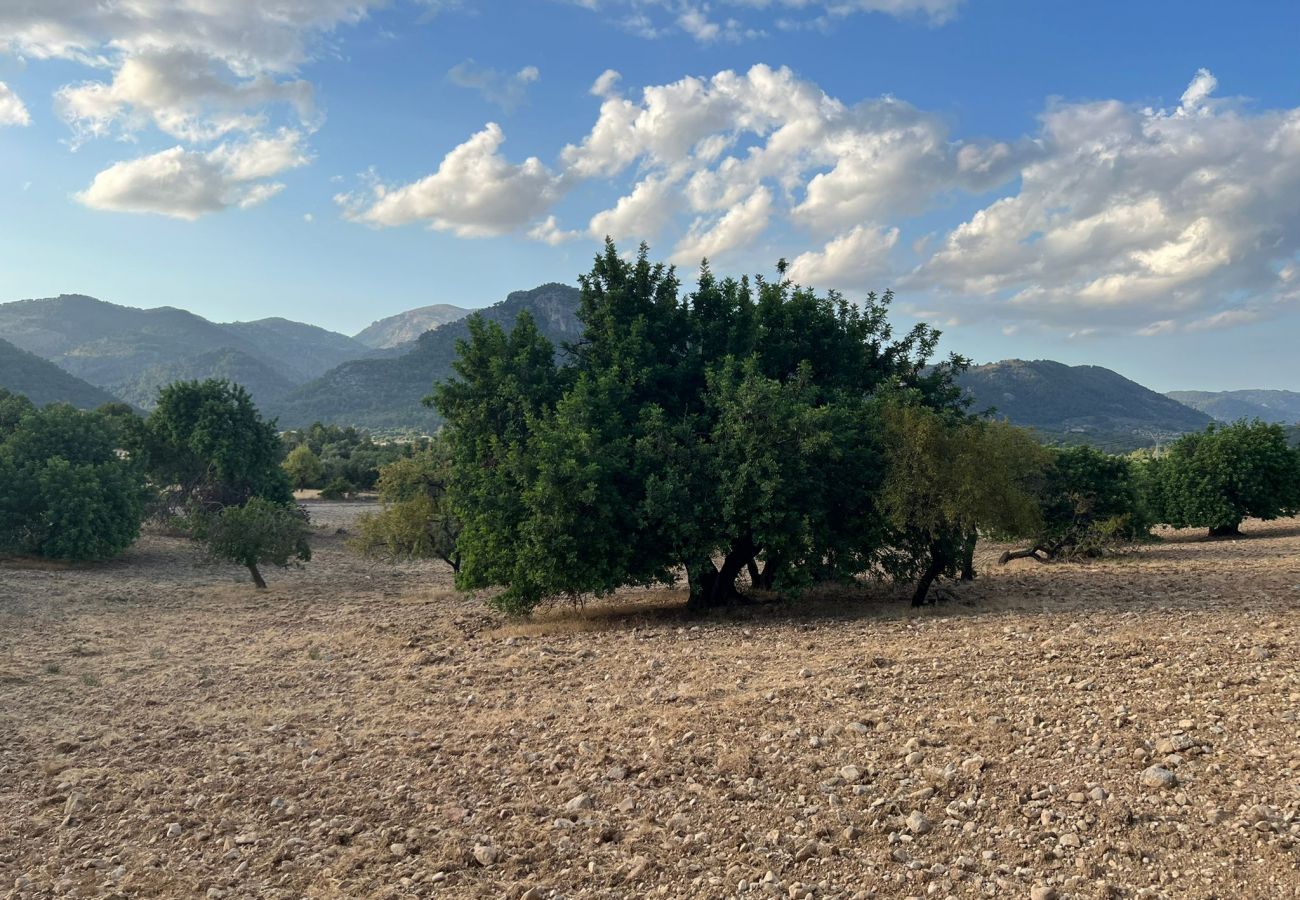 Finca in Moscari - Finca en Moscari Finca in Moscari - Finca en Moscari