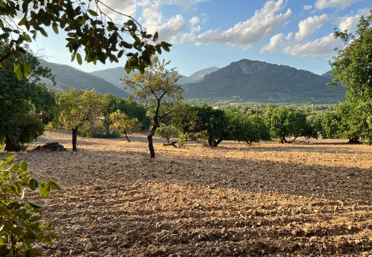 Finca in Moscari - Finca en Moscari Finca in Moscari - Finca en Moscari