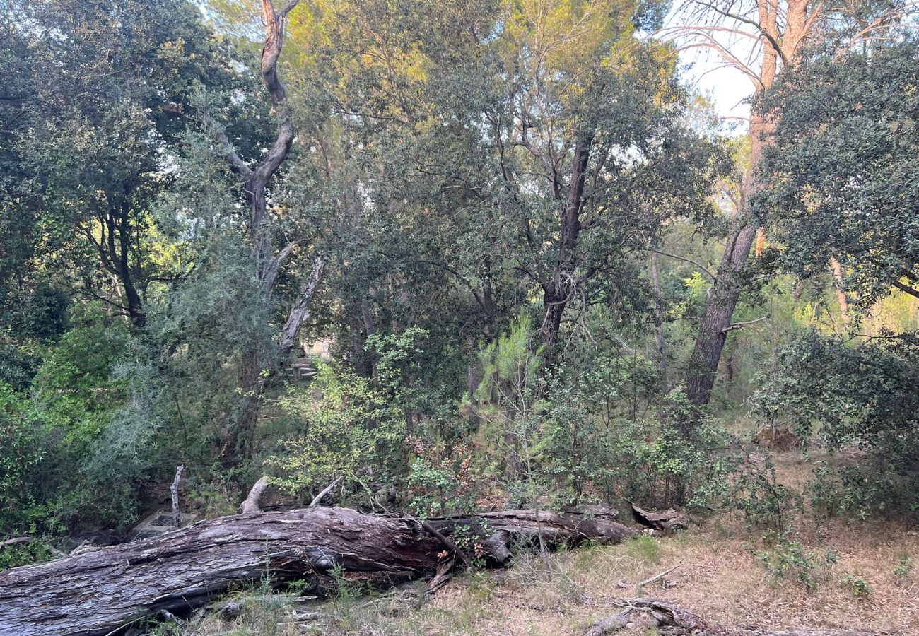 Finca in Moscari - Finca en Moscari Finca in Moscari - Finca en Moscari