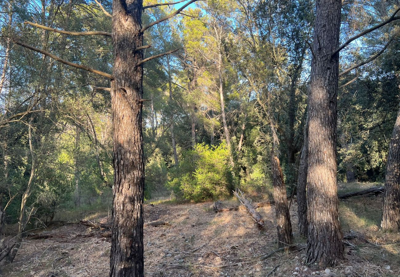 Finca in Moscari - Finca en Moscari Finca in Moscari - Finca en Moscari