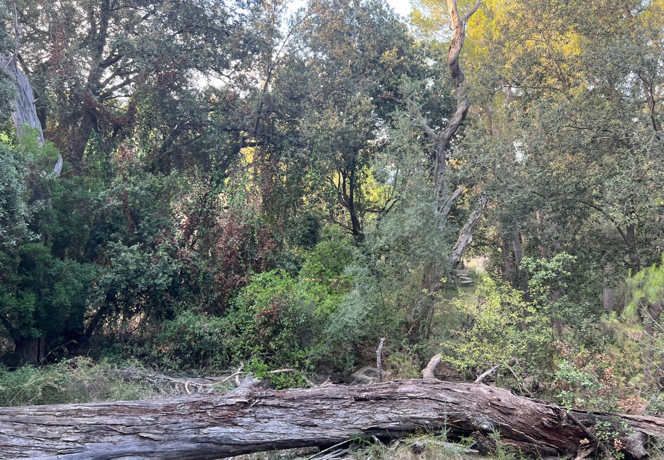 Finca in Moscari - Finca en Moscari Finca in Moscari - Finca en Moscari