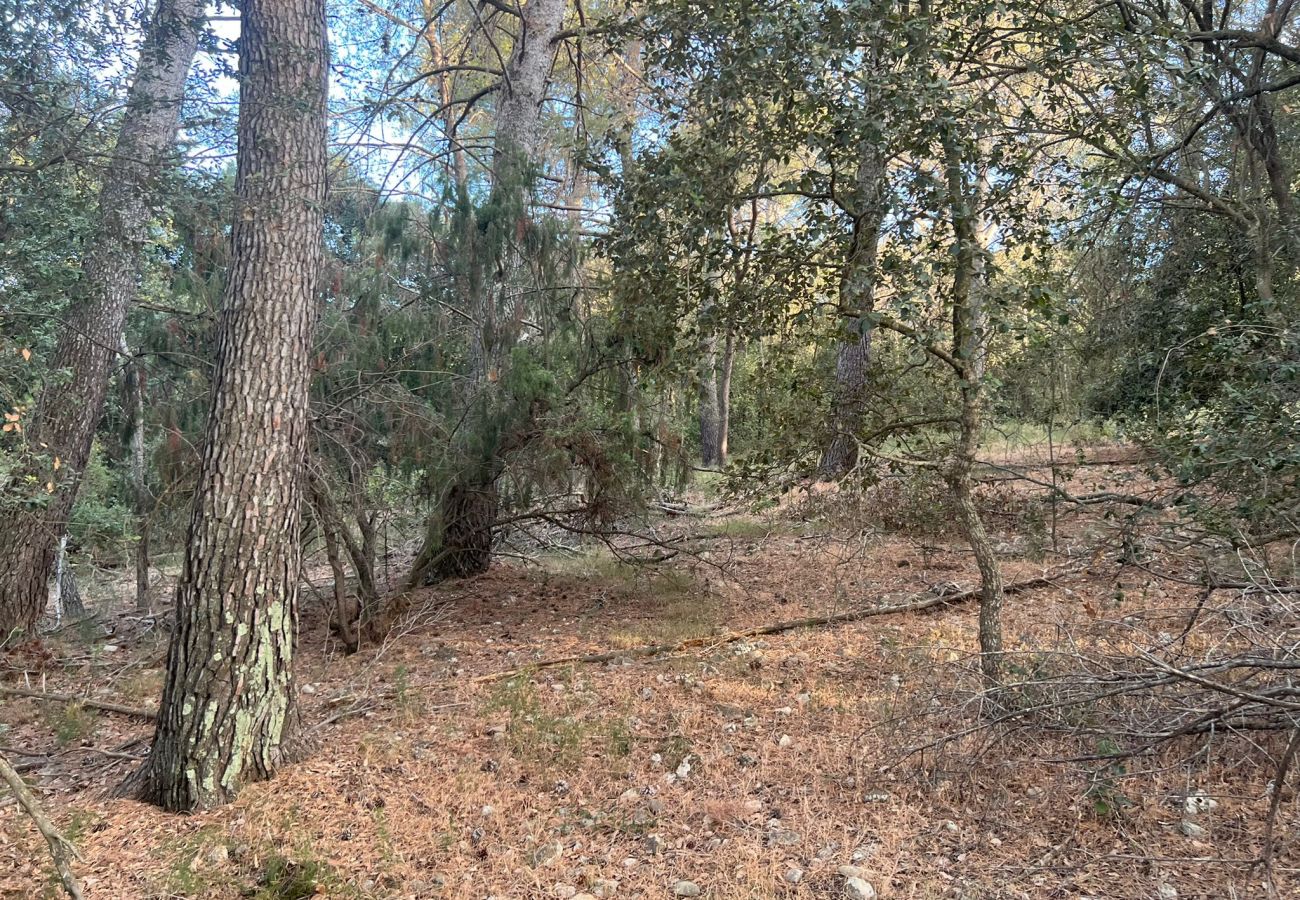 Finca in Moscari - Finca en Moscari Finca in Moscari - Finca en Moscari