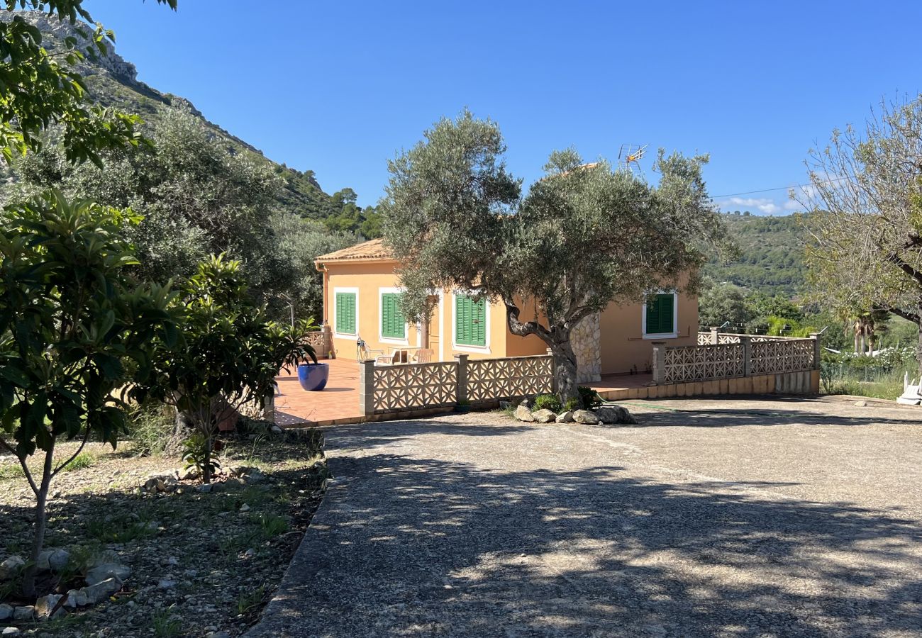 Finca in Alcúdia - Finca Rústica en son fe con 3 casas