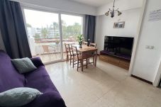 Studio in Alcúdia - Estudio en Puerto de Alcudia