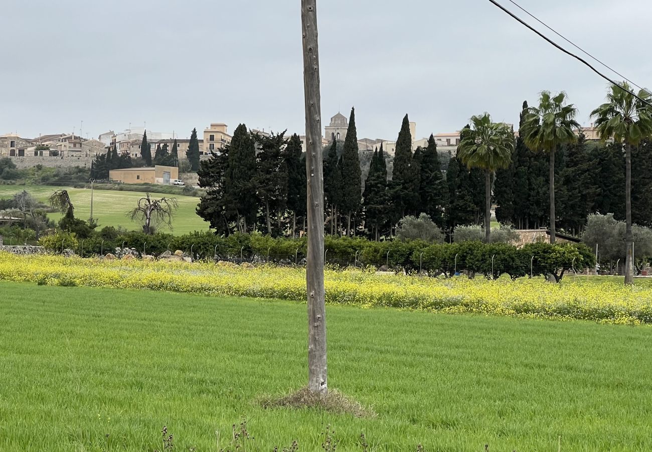 Finca in Muro - finca rústica en Muro con proyecto y licencia 
