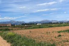 Finca in Llubi - finca rústica en Llubi